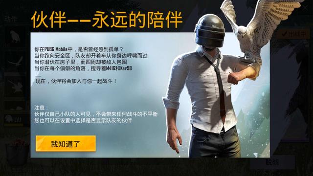 绝地求生卡盟是什么