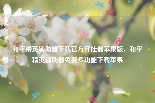 吃鸡自瞄辅助