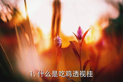 吃鸡外挂