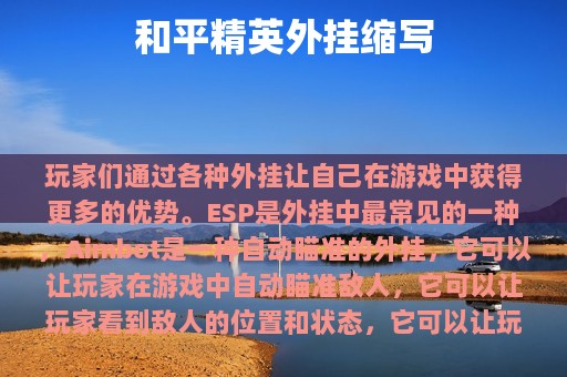 和平精英外挂
