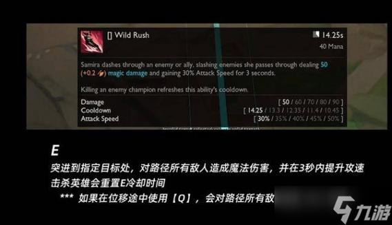 英雄联盟辅助