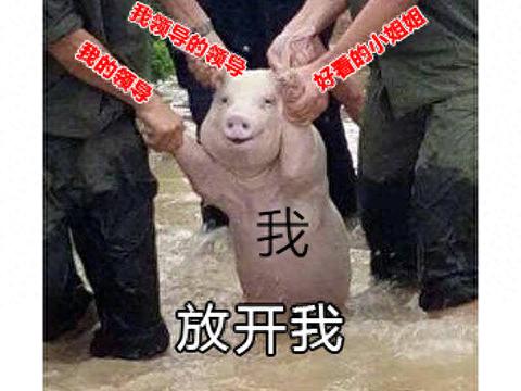 绝地求生打野
