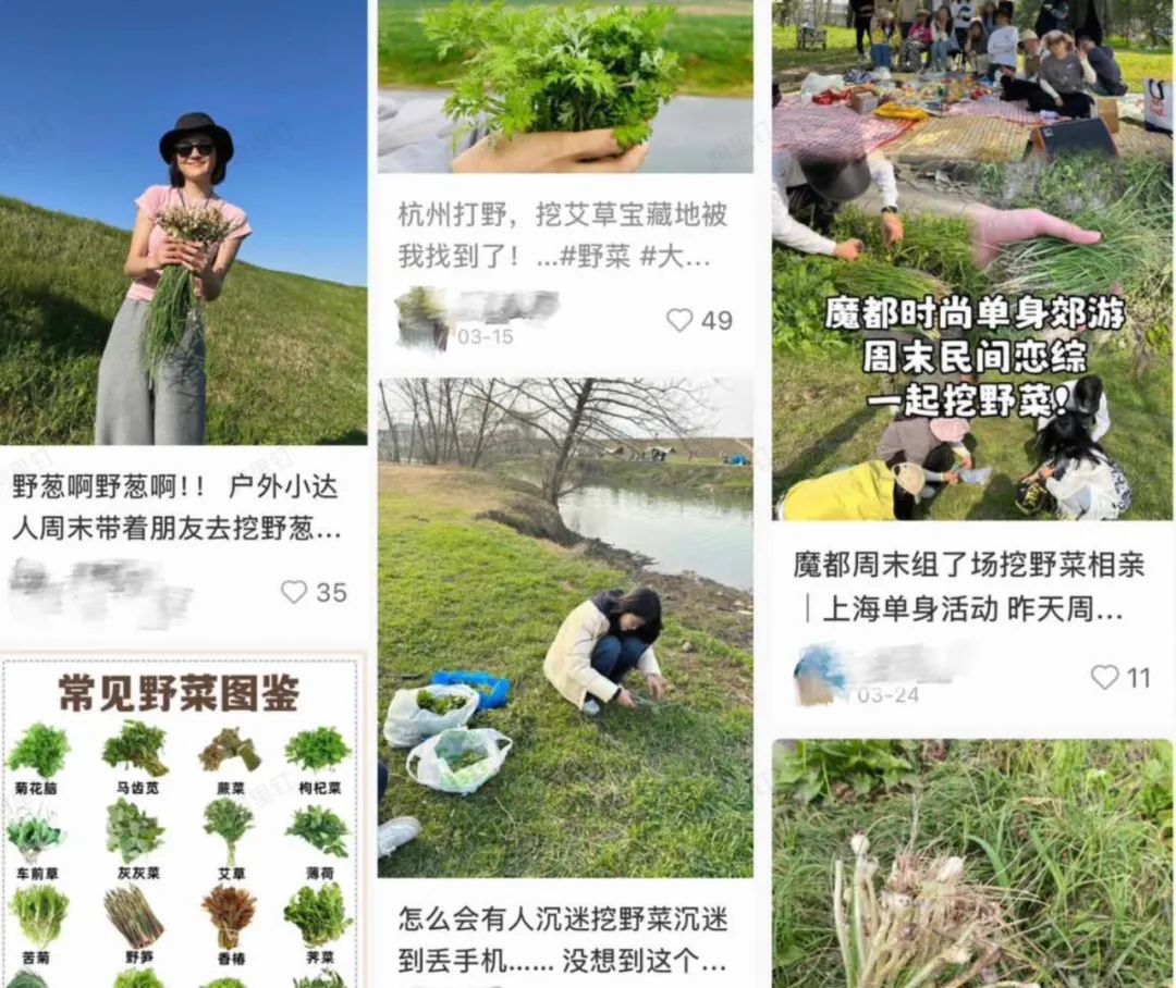 绝地求生打野