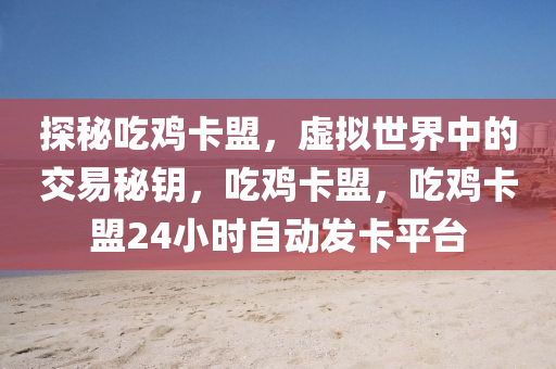 吃鸡辅助卡盟