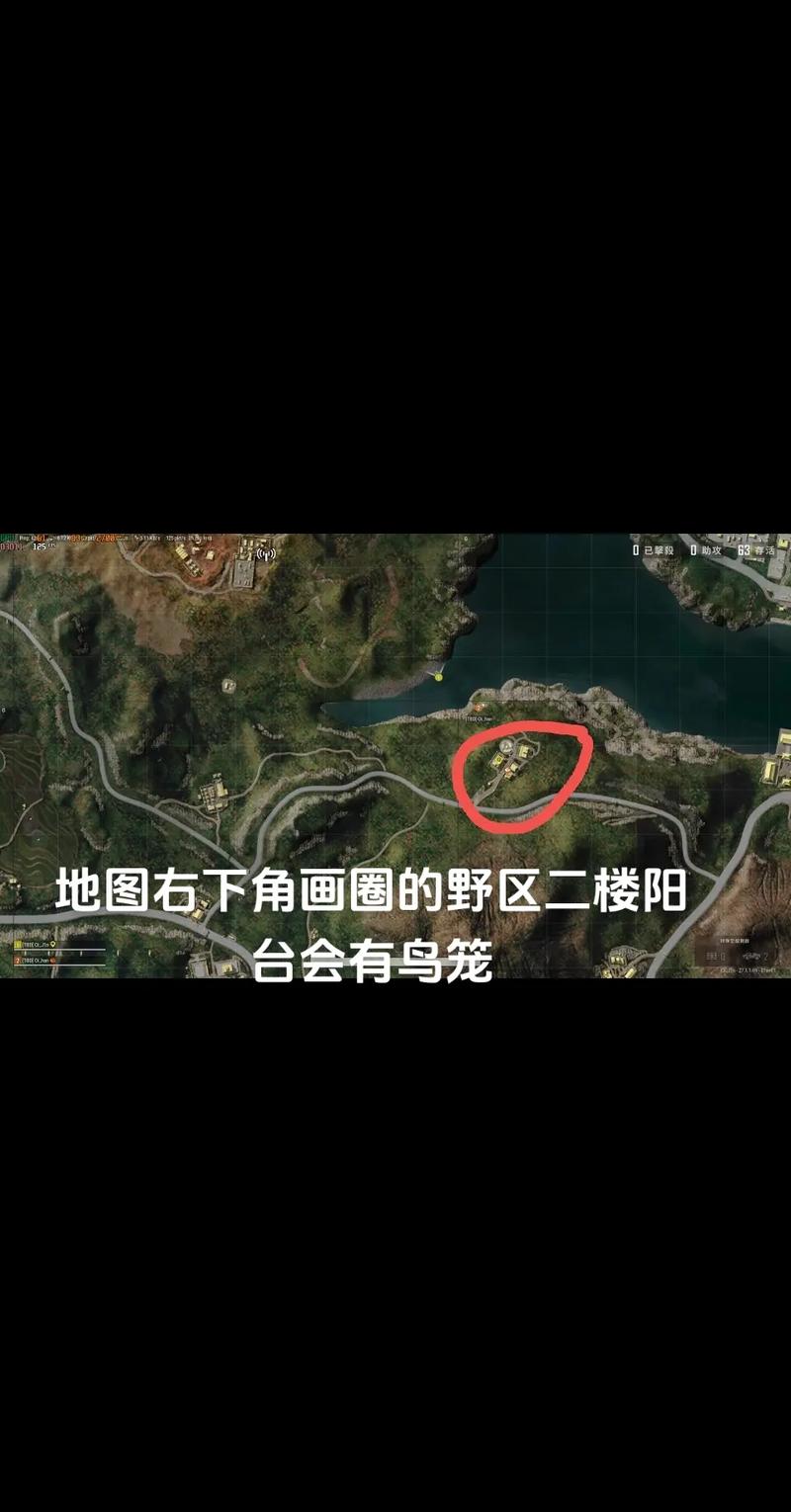 绝地求生打野
